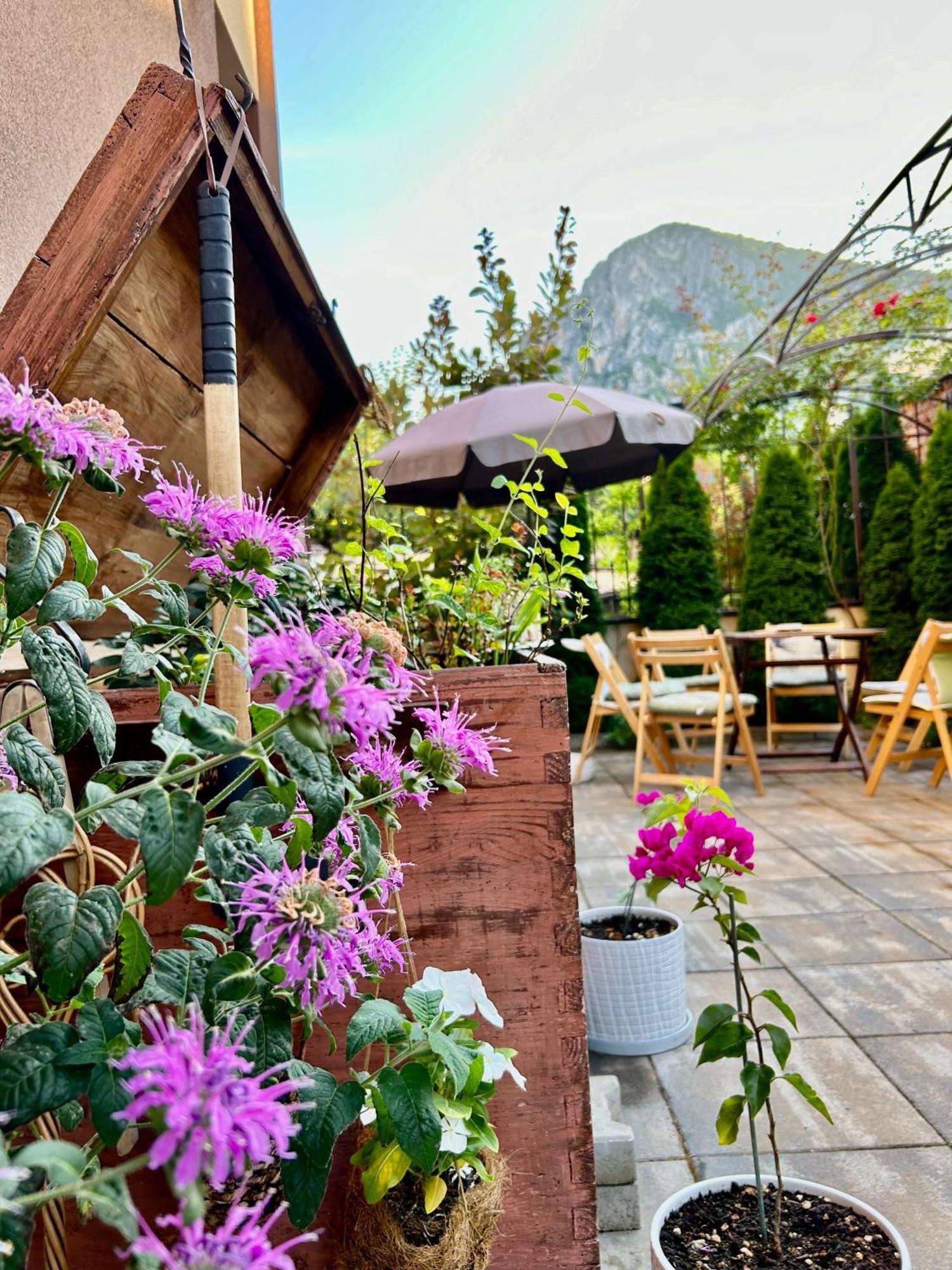 Comfort Luxury Apartments Vratsa Экстерьер фото